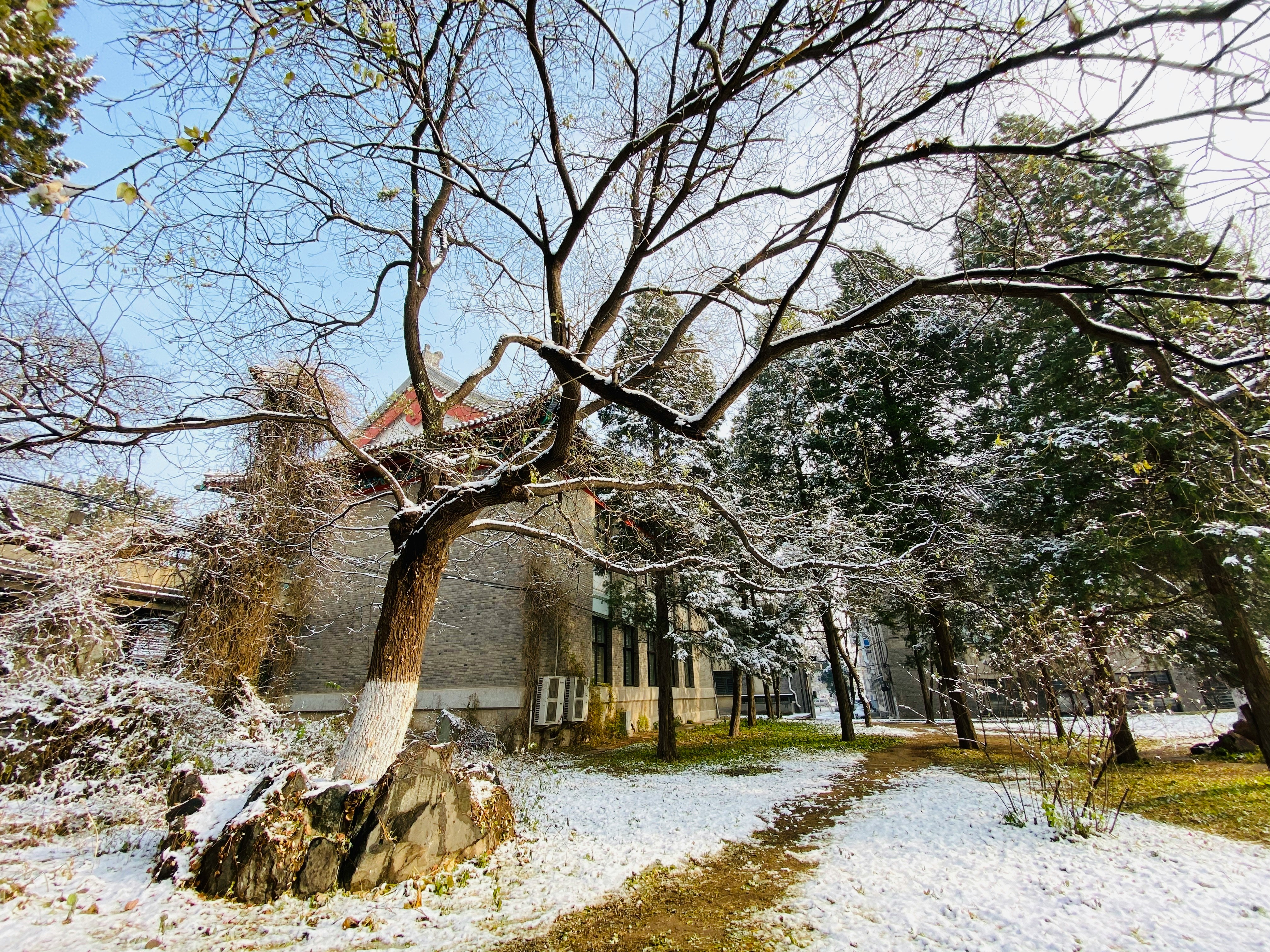 Beijing hutong in winter snow — January before Spring Festival is one of the best low-crowd windows for the capital.