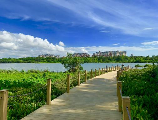 OCT Wetland Park, Shenzhen